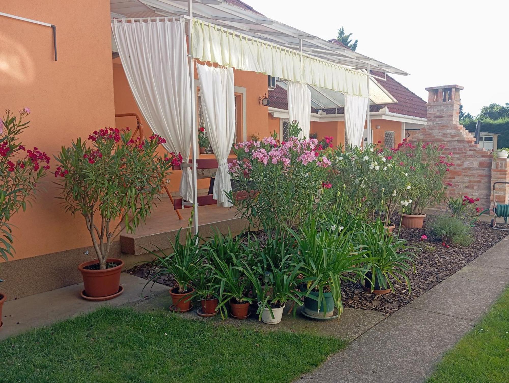 Marika Apartman Hajdúszoboszló Exterior foto