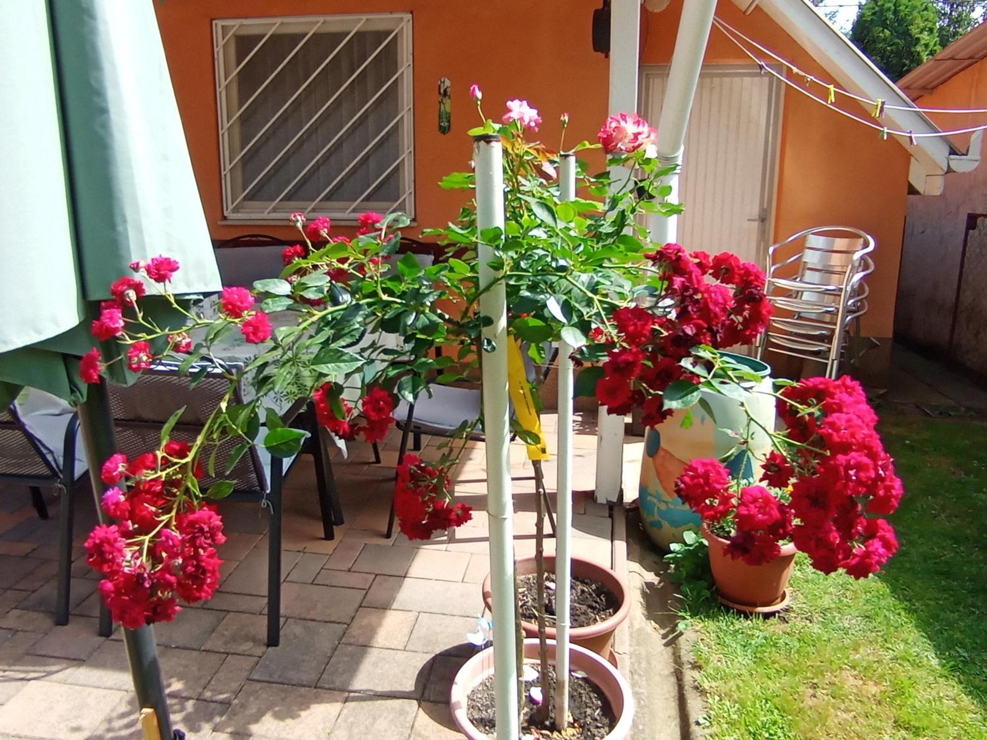 Marika Apartman Hajdúszoboszló Exterior foto